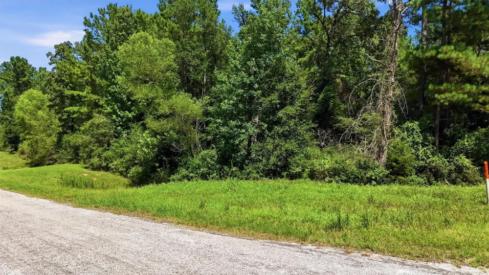 2 Hereford Trail Huntsville, TX 77340
