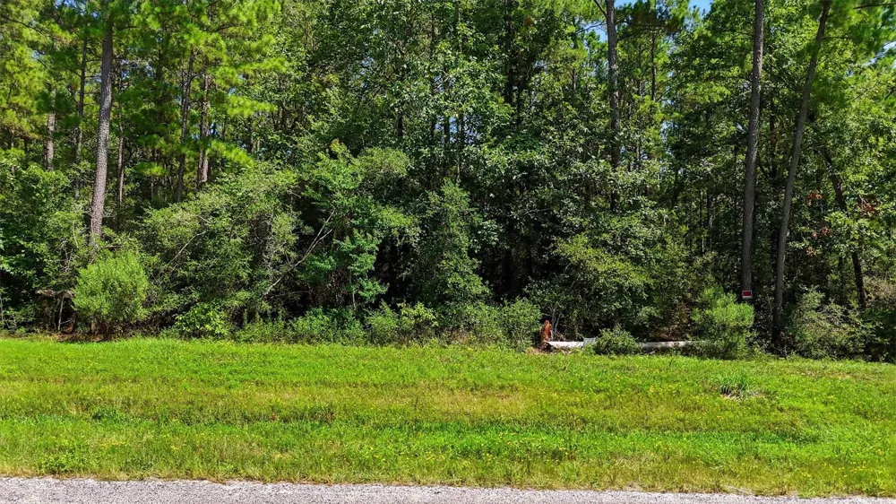 2 Hereford Trail Huntsville, TX 77340