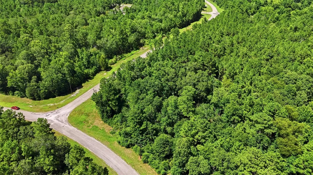 2 Hereford Trail Huntsville, TX 77340