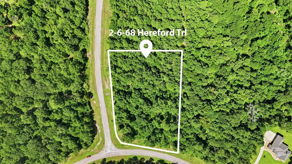 2 Hereford Trail Huntsville, TX 77340