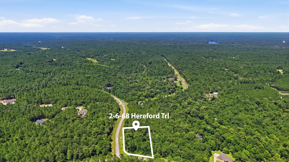 2 Hereford Trail Huntsville, TX 77340