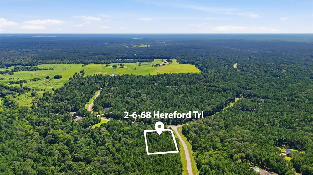 2 Hereford Trail Huntsville, TX 77340