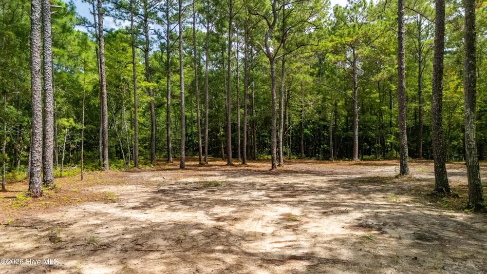 000 Jeff Road Arapahoe, NC 28510