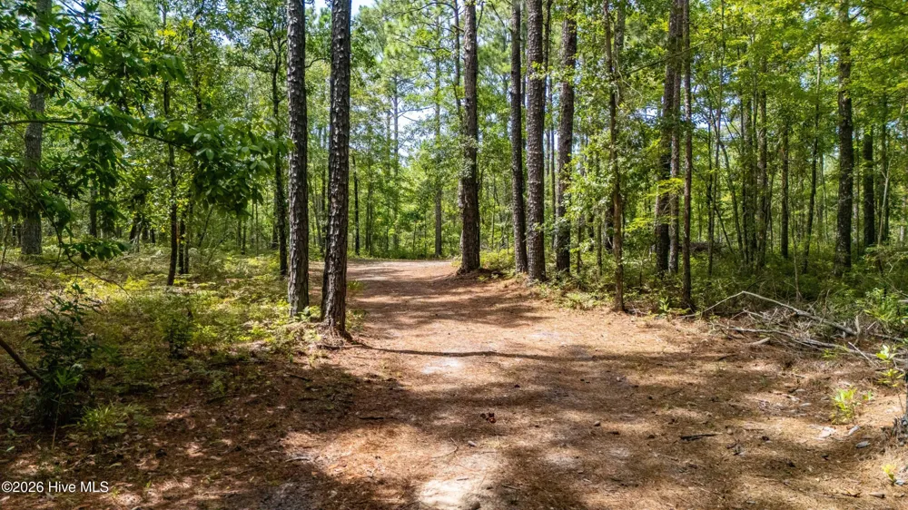 000 Jeff Road Arapahoe, NC 28510