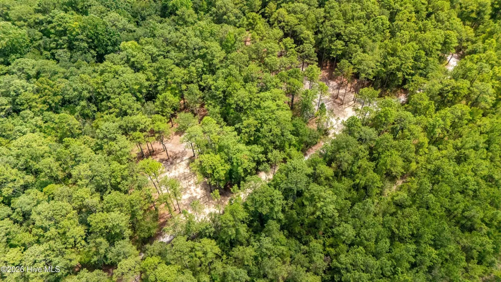 000 Jeff Road Arapahoe, NC 28510