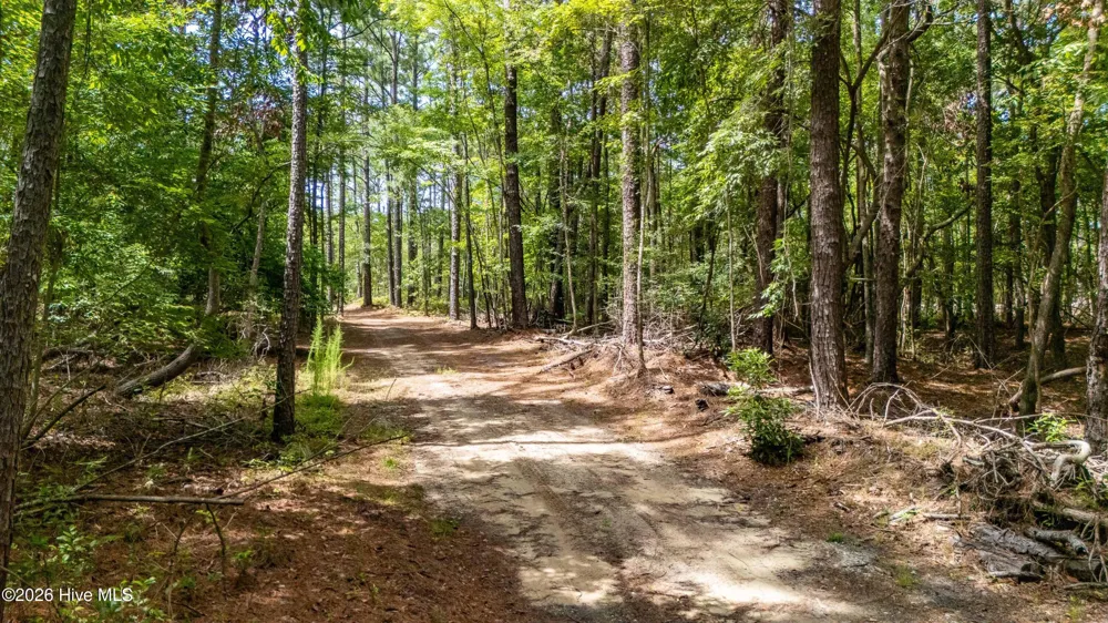 000 Jeff Road Arapahoe, NC 28510