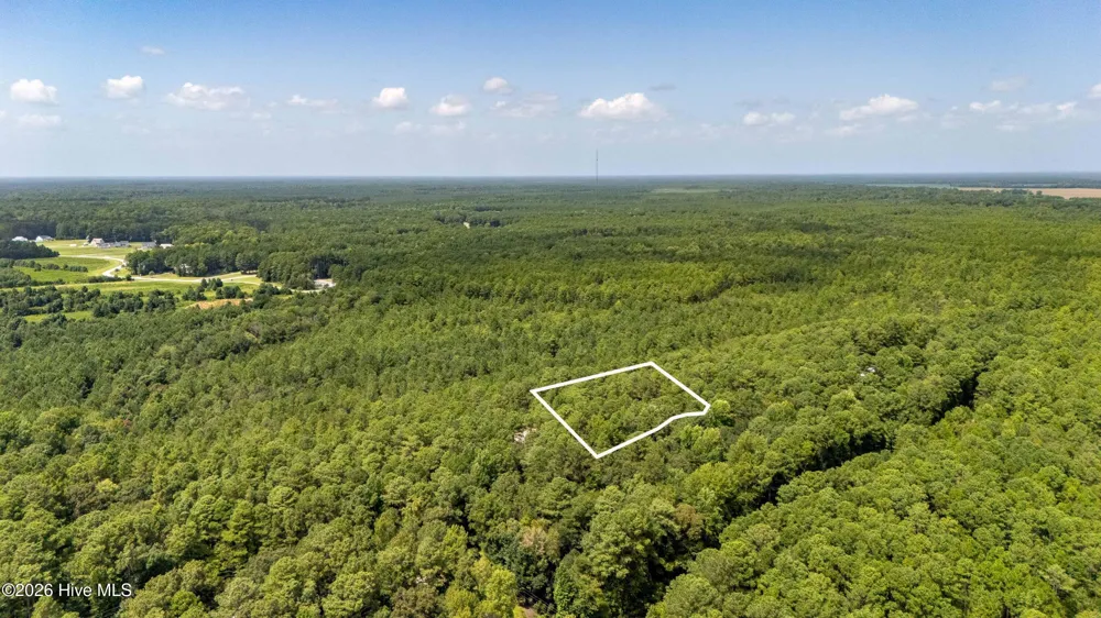 000 Jeff Road Arapahoe, NC 28510