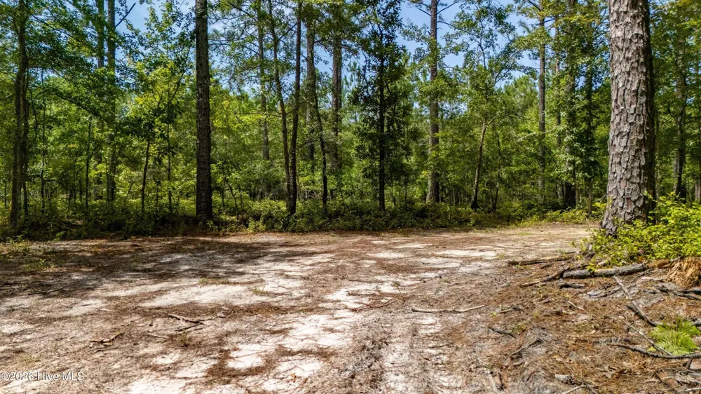 000 Jeff Road Arapahoe, NC 28510