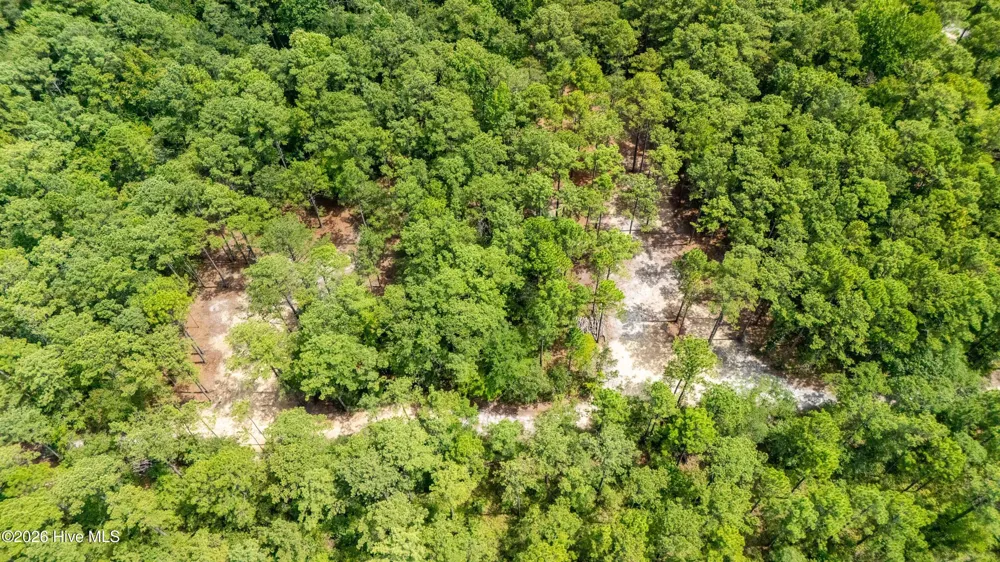000 Jeff Road Arapahoe, NC 28510