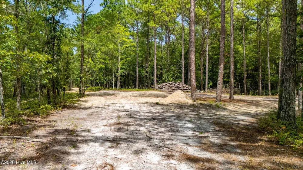 000 Jeff Road Arapahoe, NC 28510