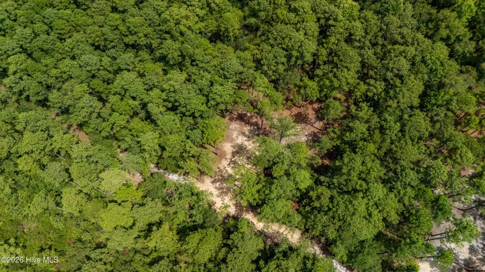 000 Jeff Road Arapahoe, NC 28510