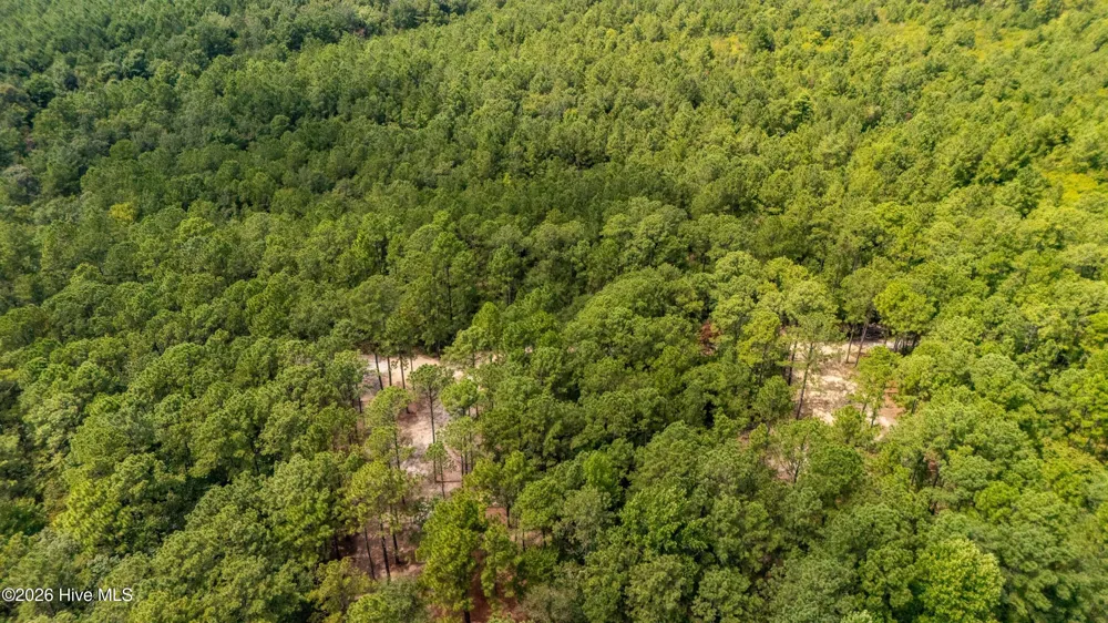 000 Jeff Road Arapahoe, NC 28510