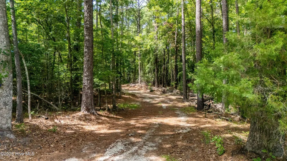 000 Jeff Road Arapahoe, NC 28510