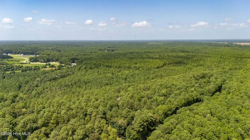 000 Jeff Road Arapahoe, NC 28510