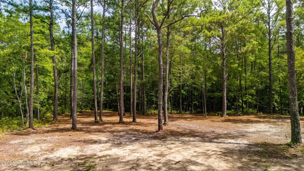 000 Jeff Road Arapahoe, NC 28510