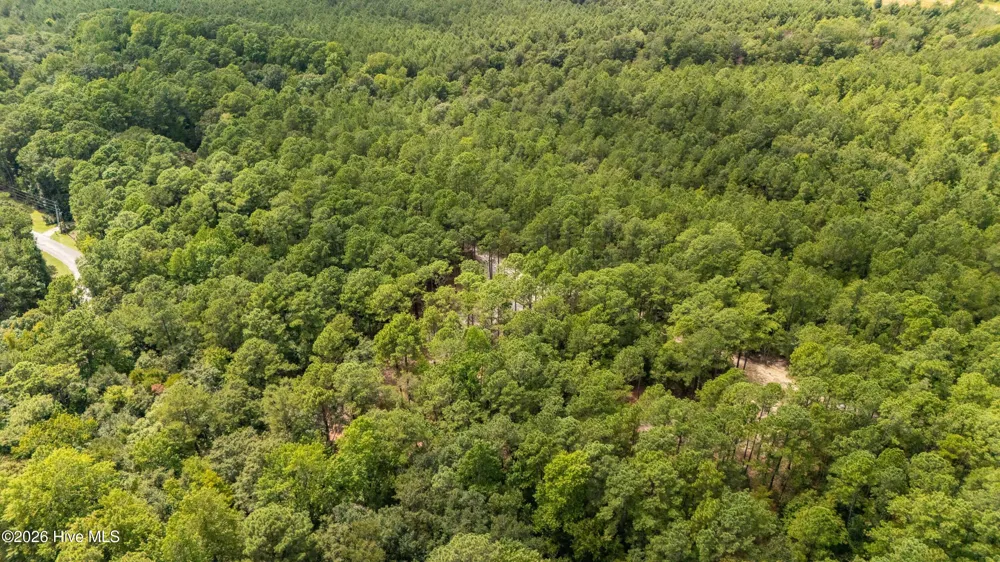 000 Jeff Road Arapahoe, NC 28510