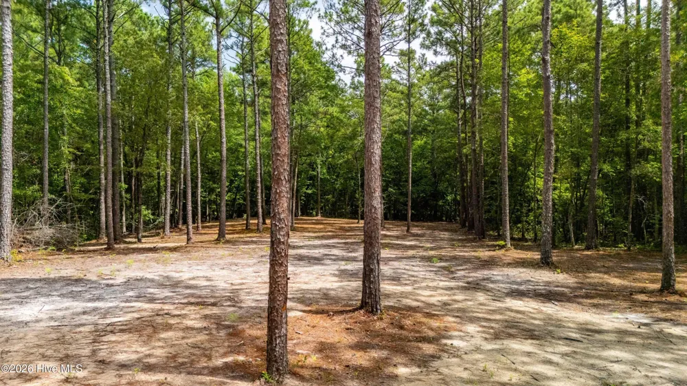 000 Jeff Road Arapahoe, NC 28510