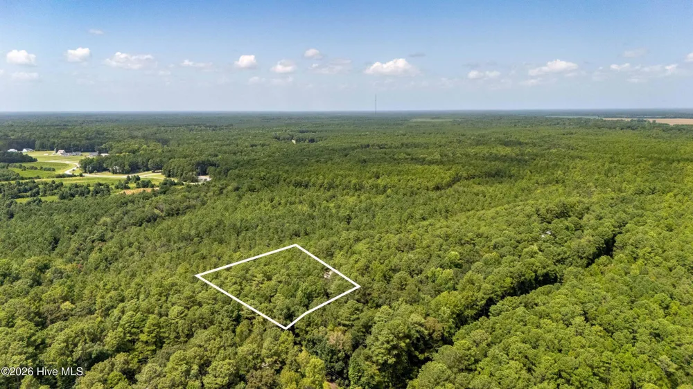 000 Jeff Road Arapahoe, NC 28510
