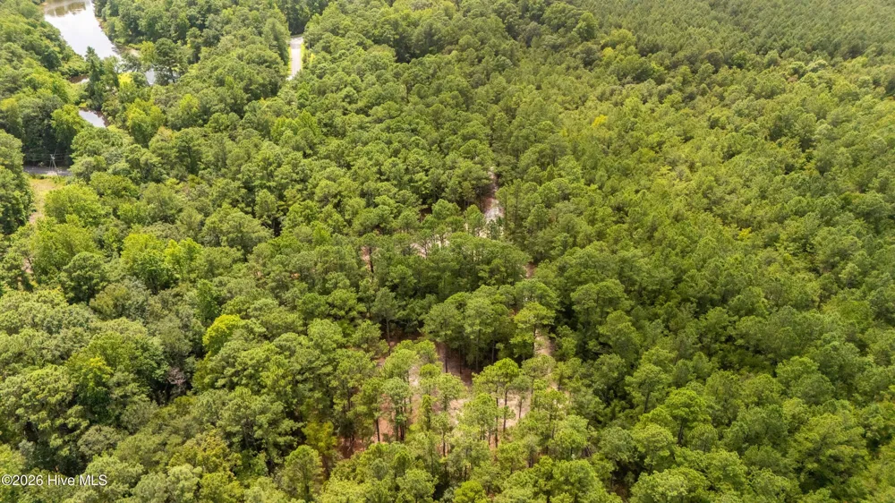000 Jeff Road Arapahoe, NC 28510
