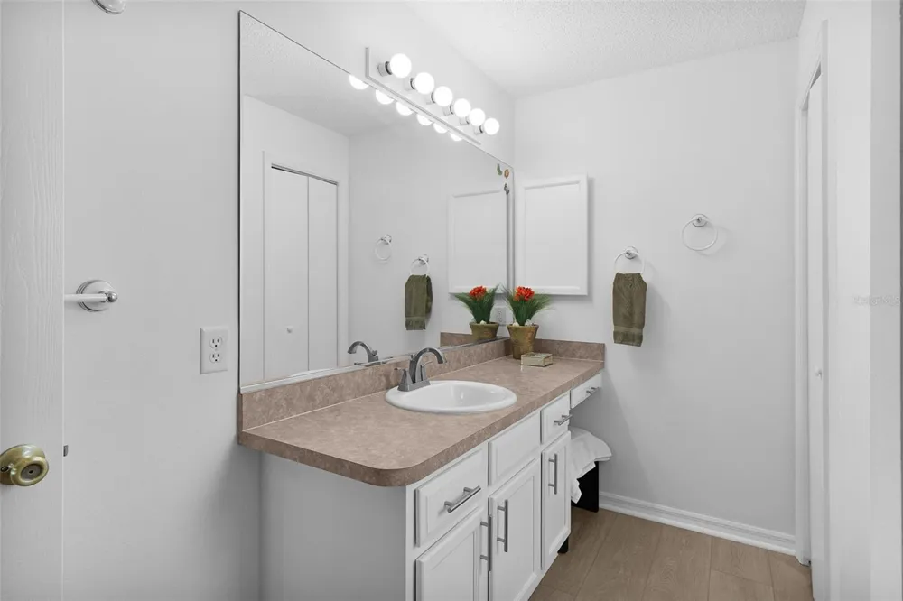 17766 SE 91ST POPLAR TER The Villages, FL 32162