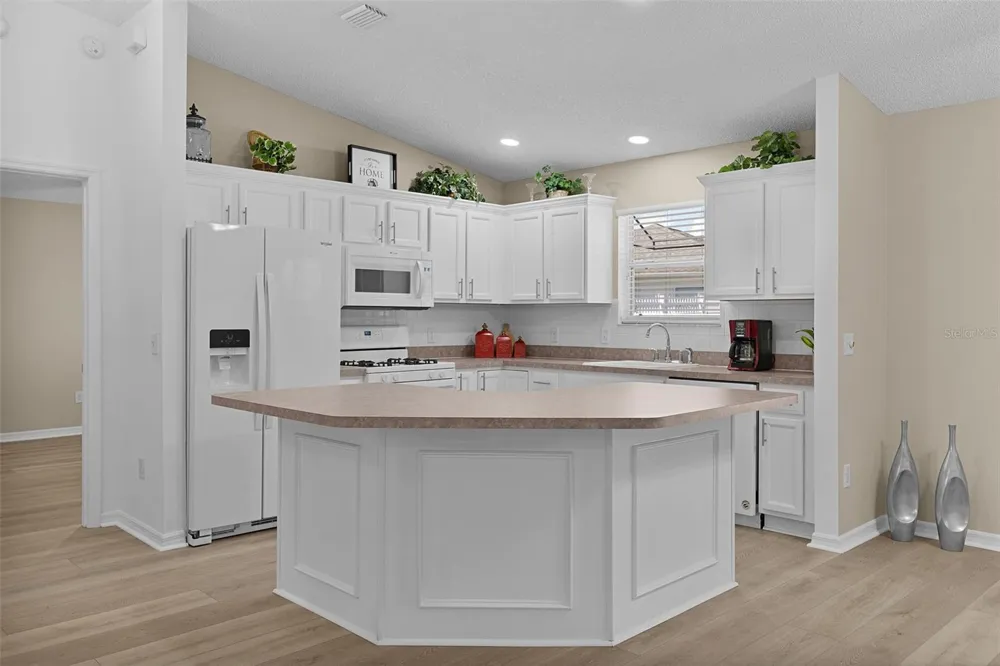 17766 SE 91ST POPLAR TER The Villages, FL 32162