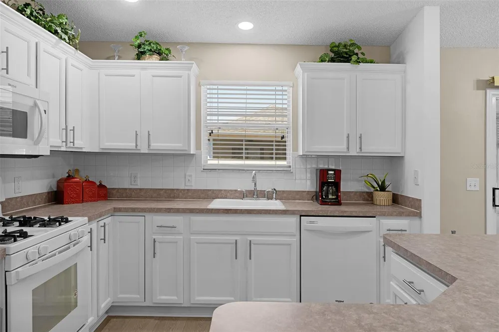 17766 SE 91ST POPLAR TER The Villages, FL 32162