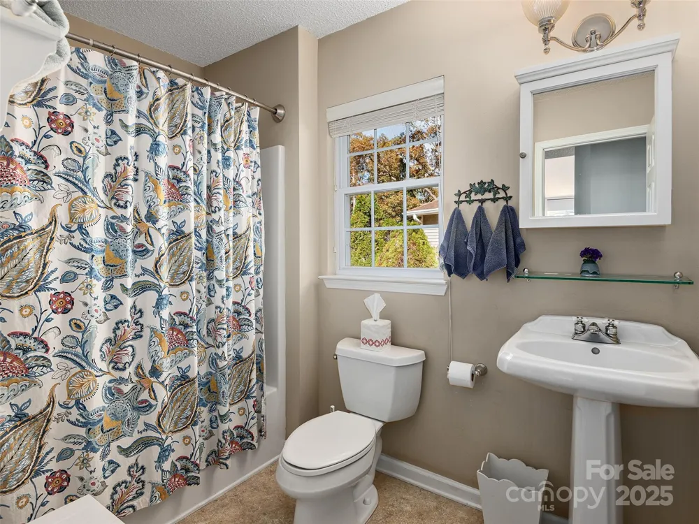 111 Wildwood Forest Lane Mills River, NC 28759