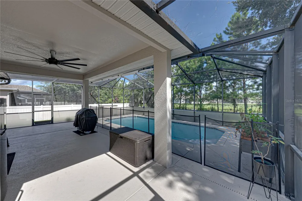 1236 EVERGREEN PARK CIRCLE Lakeland, FL 33813