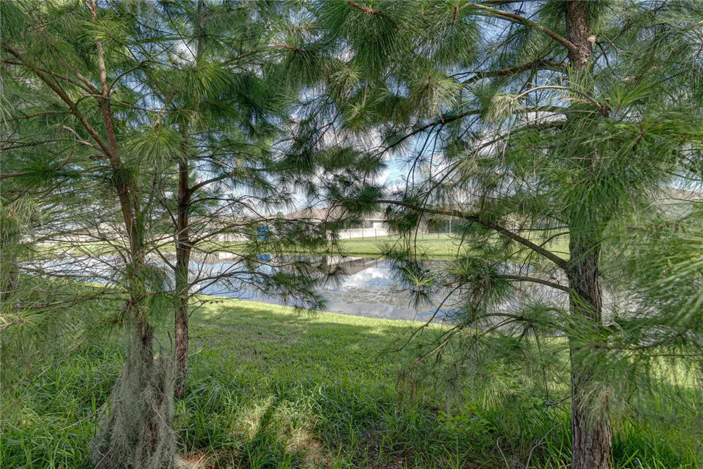 1236 EVERGREEN PARK CIRCLE Lakeland, FL 33813