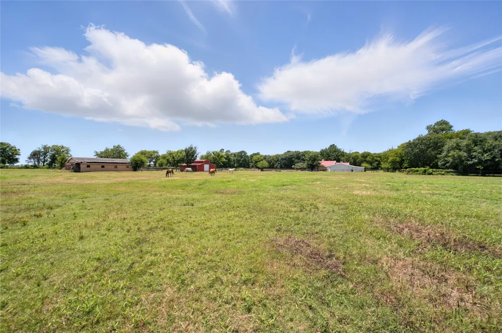 County Road 247 Terrell, TX 75160