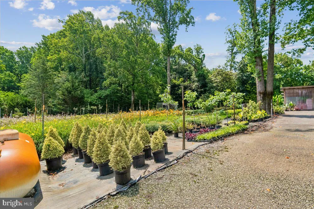 1301 OLD MITCHELLVILLE Bowie, MD 20716