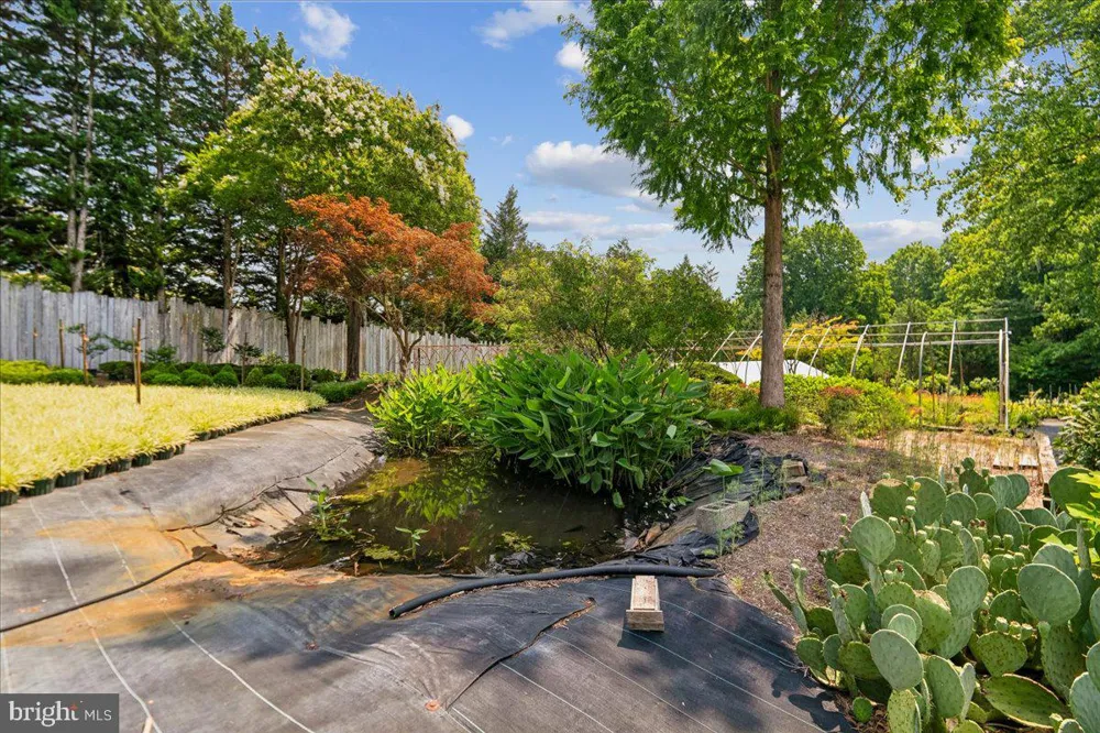 1301 OLD MITCHELLVILLE Bowie, MD 20716