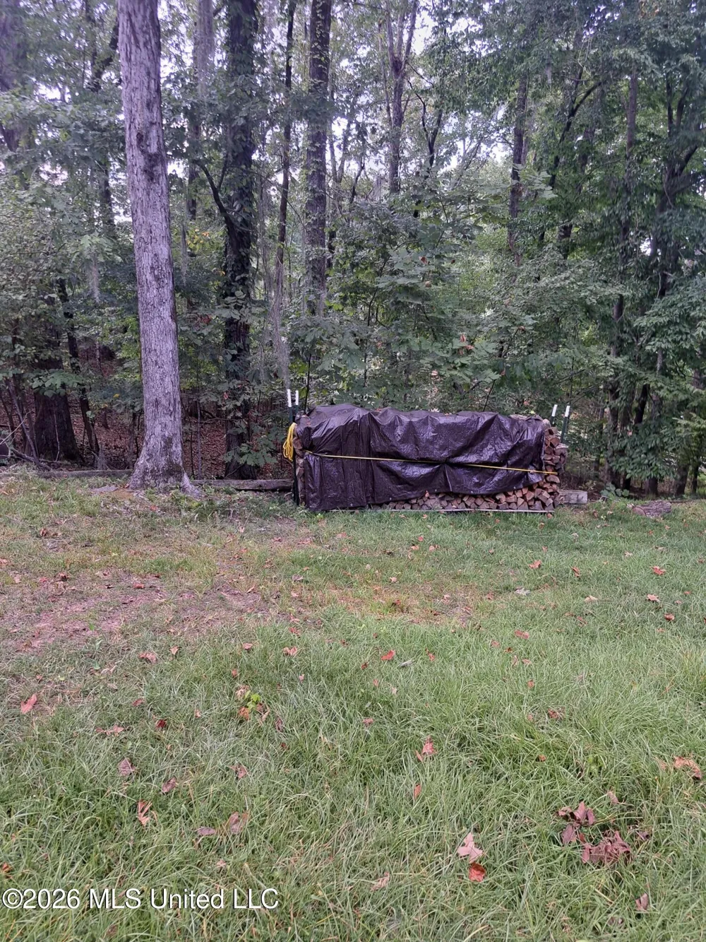 708 Laney Drive Clinton, MS 39056