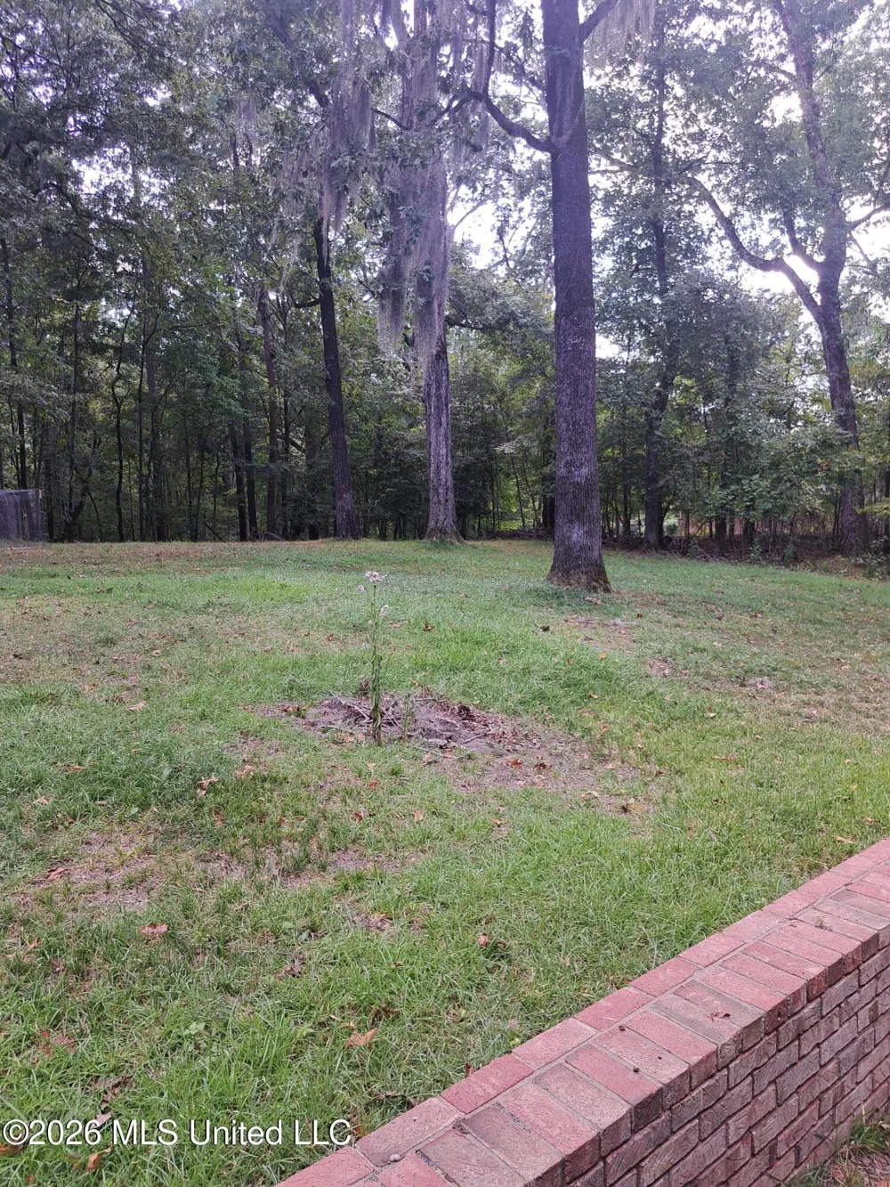 708 Laney Drive Clinton, MS 39056