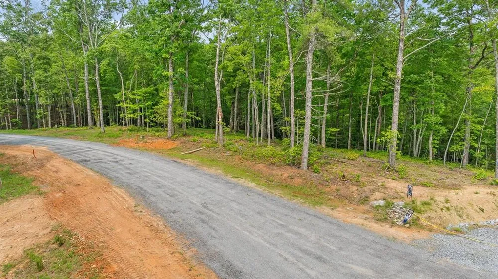 Lot 72 Hill Top Way Mineral Bluff, GA 30559