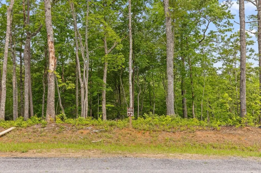 Lot 72 Hill Top Way Mineral Bluff, GA 30559