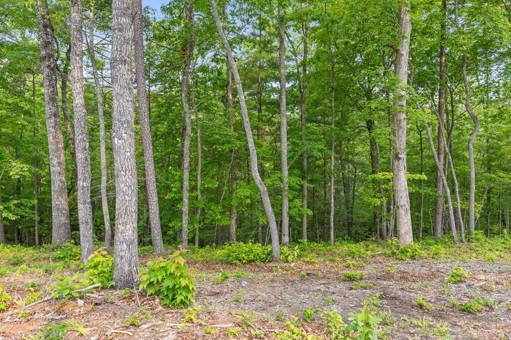 Lot 72 Hill Top Way Mineral Bluff, GA 30559