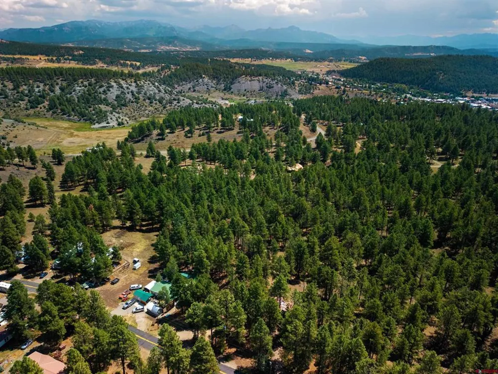 Bienvenido Circle Pagosa Springs, CO 81147