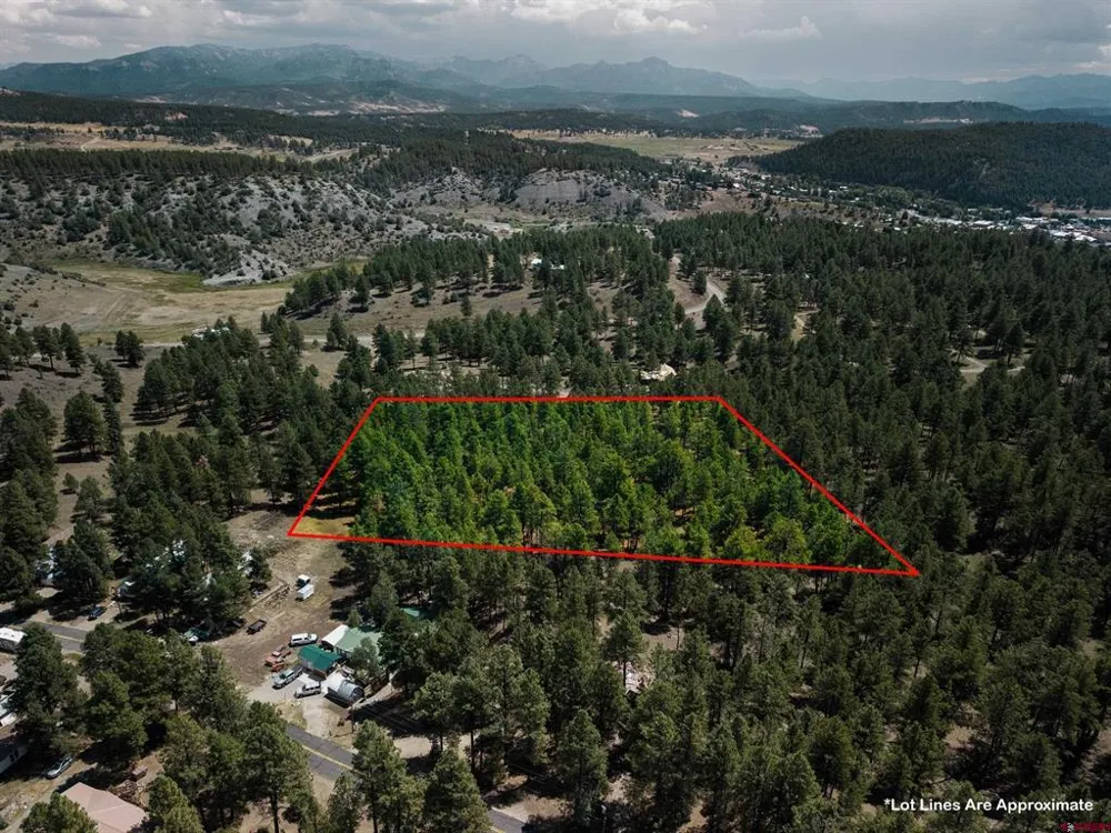 Bienvenido Circle Pagosa Springs, CO 81147