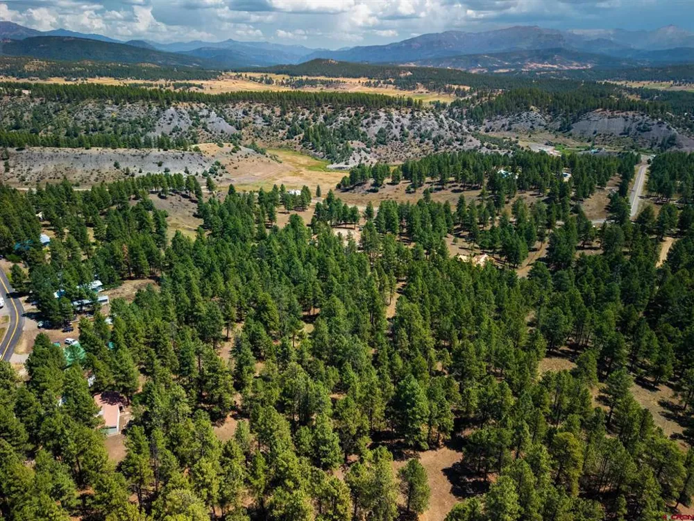 Bienvenido Circle Pagosa Springs, CO 81147