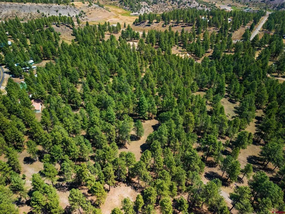 Bienvenido Circle Pagosa Springs, CO 81147