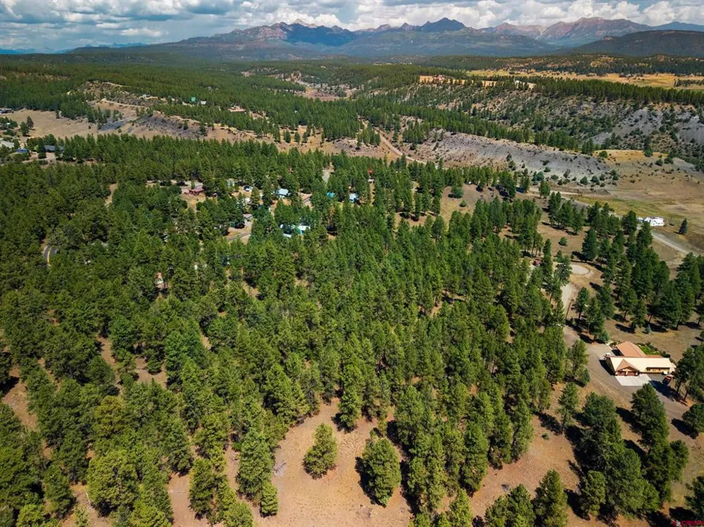Bienvenido Circle Pagosa Springs, CO 81147