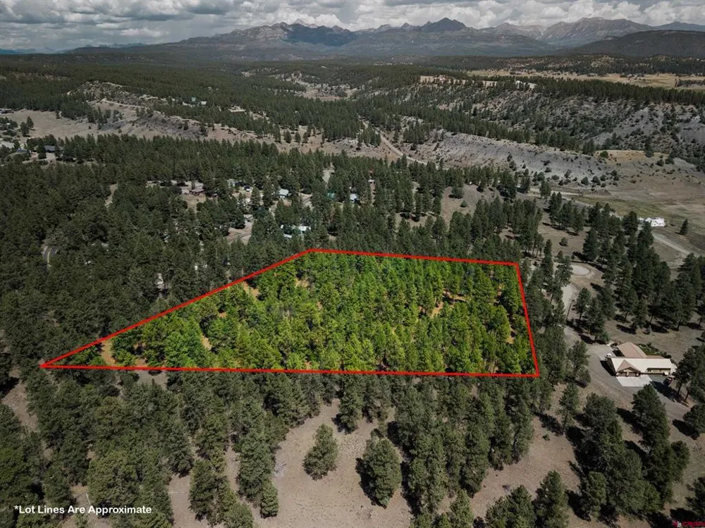 Bienvenido Circle Pagosa Springs, CO 81147
