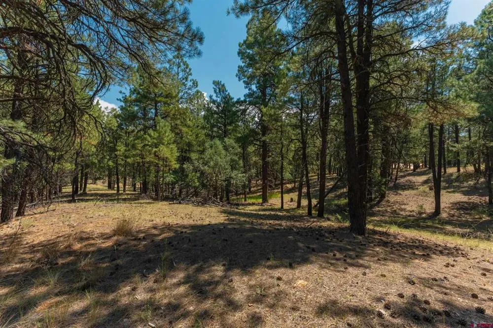Bienvenido Circle Pagosa Springs, CO 81147