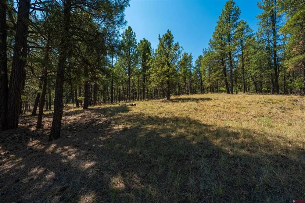 Bienvenido Circle Pagosa Springs, CO 81147