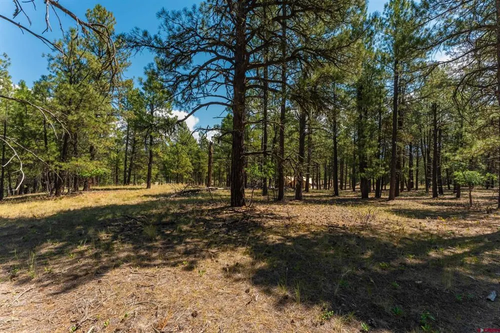 Bienvenido Circle Pagosa Springs, CO 81147