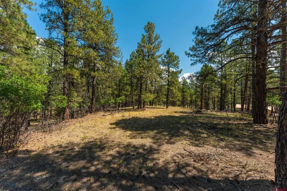 Bienvenido Circle Pagosa Springs, CO 81147