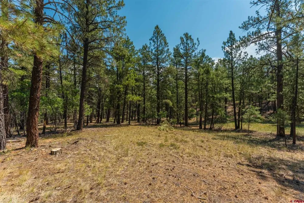 Bienvenido Circle Pagosa Springs, CO 81147