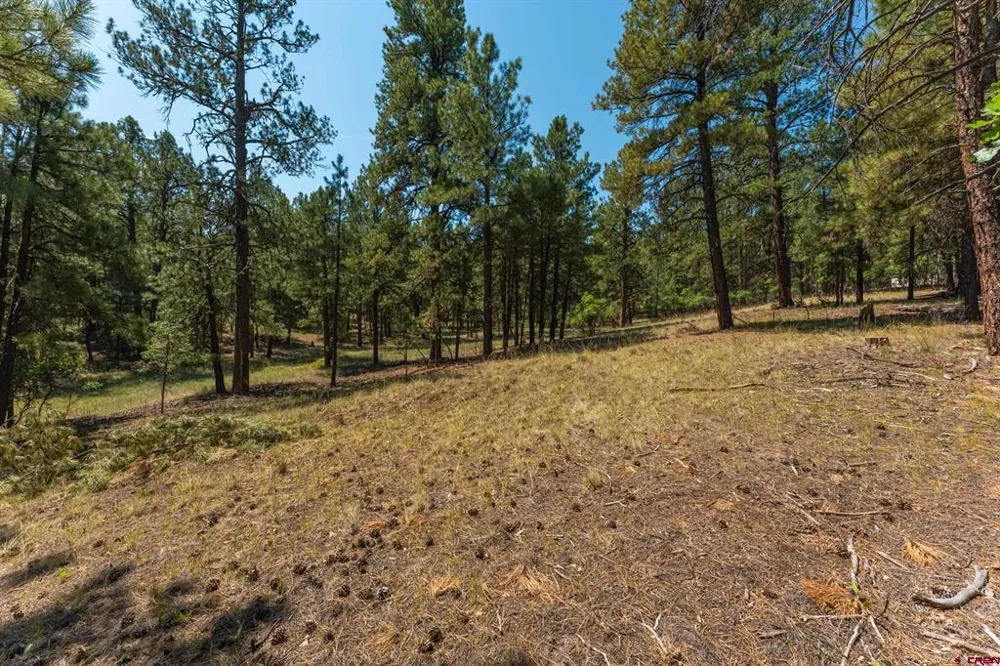 Bienvenido Circle Pagosa Springs, CO 81147