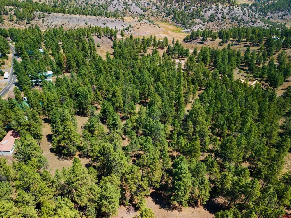 Bienvenido Circle Pagosa Springs, CO 81147